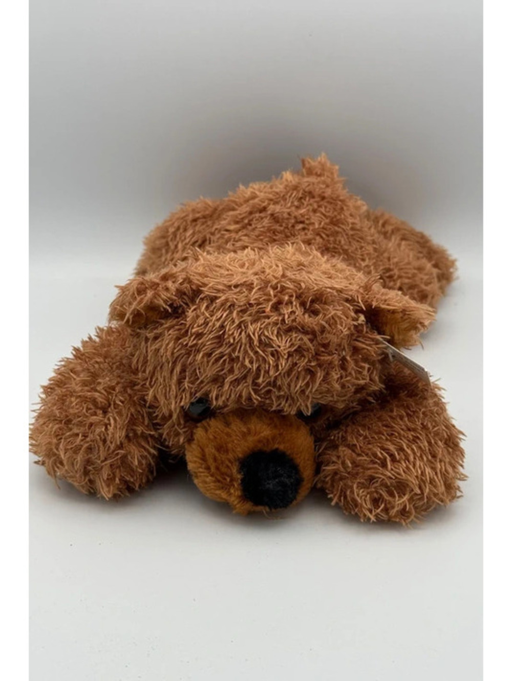 Bear Laying Out Brown
